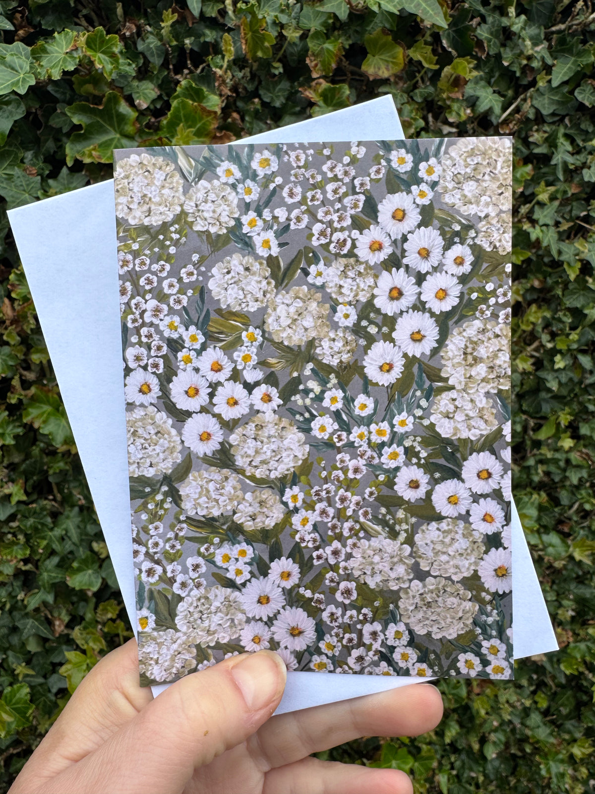 Greeting card  - Daisy